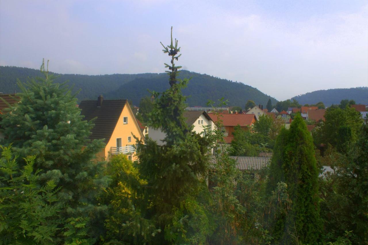Wdwell Daire Munchweiler an der Rodalbe Dış mekan fotoğraf