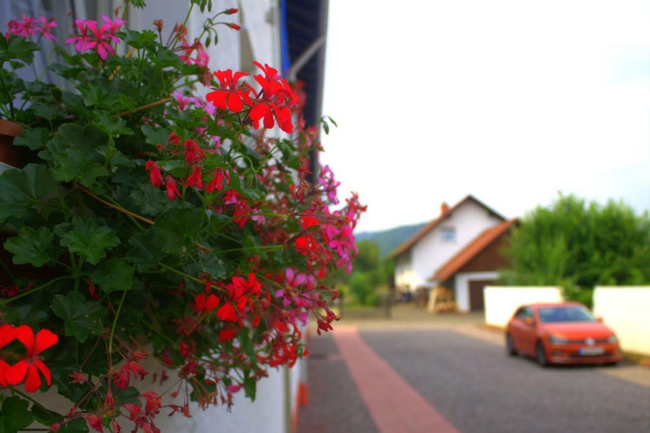 Wdwell Daire Munchweiler an der Rodalbe Dış mekan fotoğraf